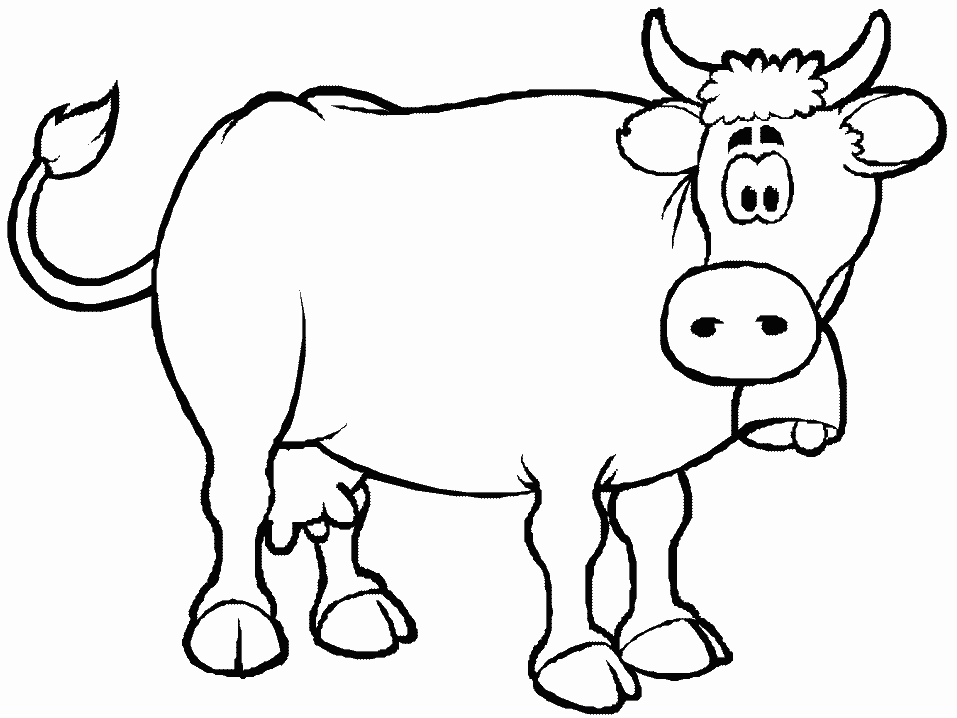 planse desene de colorat vaca vitel taur bou